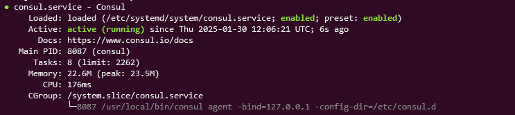 Install Consul on Ubuntu 24 | Status of consul running